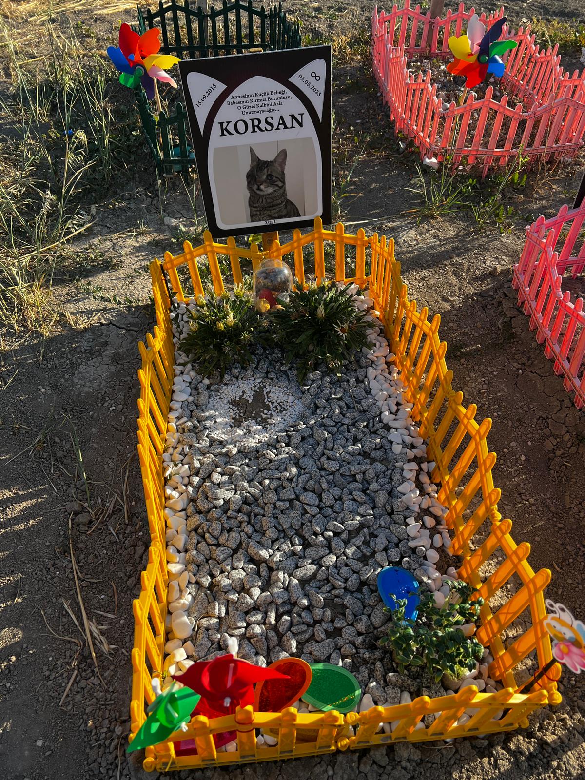 Ankara evcil hayvan mezarlığı