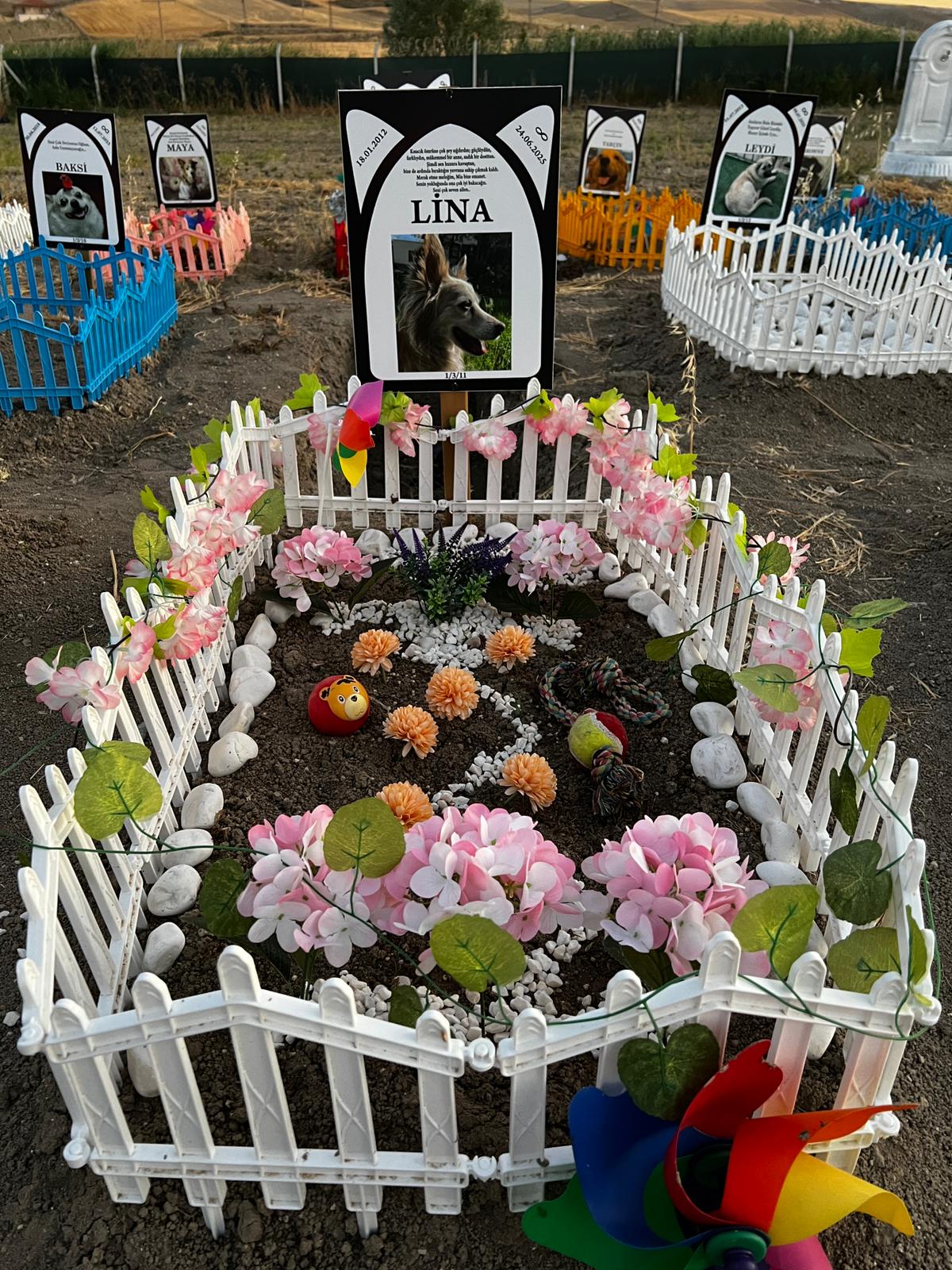 Ankara evcil hayvan mezarlığı